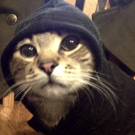 Github Inn0c0de Elect2 Activity6 - Nature Illustrations - Ultra HD 8K Collection