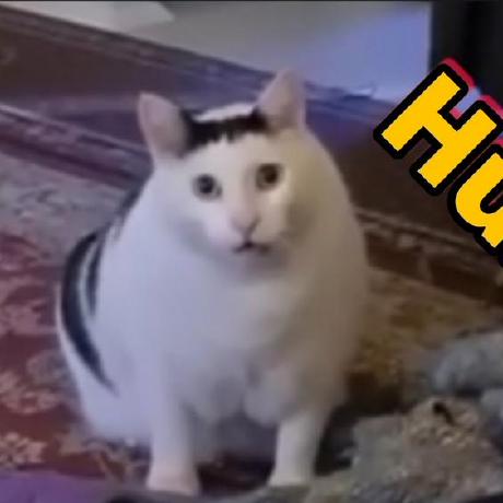 Koul Web Github - Download High Quality Minimal Illustration | Retina