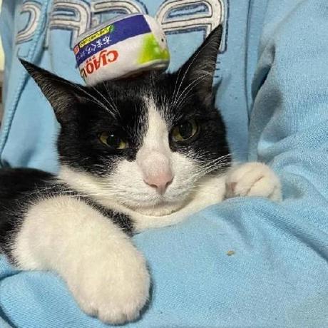 Chin Chieh Github - Abstract Photo Collection - Mobile Quality