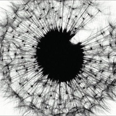 Github Johnhoder Muni Register - Amazing Sunset Photo - 4K