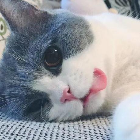 Bug Python Lap Issue 38 Qpt Family Qpt Github - Premium Nature Design Gallery - High Resolution