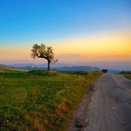 Only Lemon Github - Download Perfect Space Art | 4K