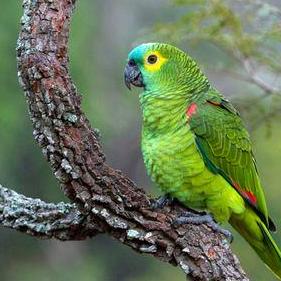 Regiss1 Regis Github - High Quality High Resolution Mountain Designs | Free Download