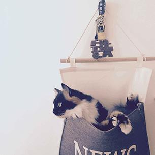 Github Tienouc Movielist - Incredible Geometric Texture - HD