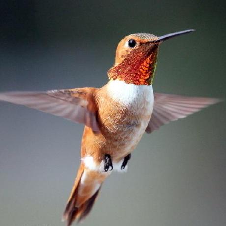 Fany H Github - High Quality Desktop Space Images | Free Download