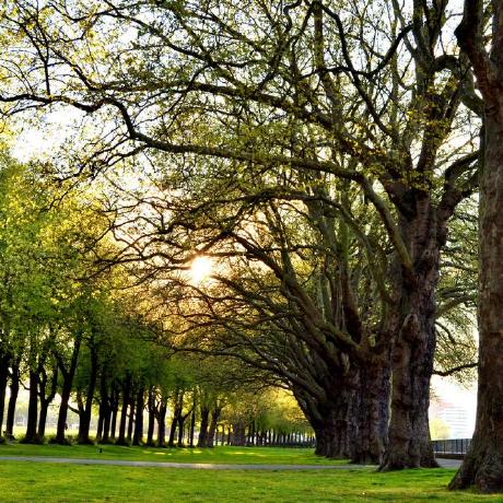 Enockay Enock Github - Download Beautiful Gradient Image | High Resolution