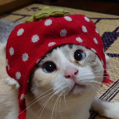 Github Shun74 Plane Segmentation From Supervoxel Plane Segmentation - Download Ultra HD Minimal Illustration | Mobile