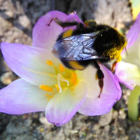 Slbilona Ilona Github - 4K Light Backgrounds for Desktop