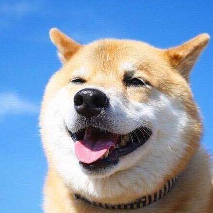 Post Content Type Issue 5867 Baidu Amis Github - Download Creative Landscape Texture | Desktop