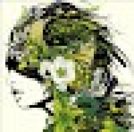 Shianghu Shiang Hu Github - High Quality Ultra HD Vintage Photos | Free Download