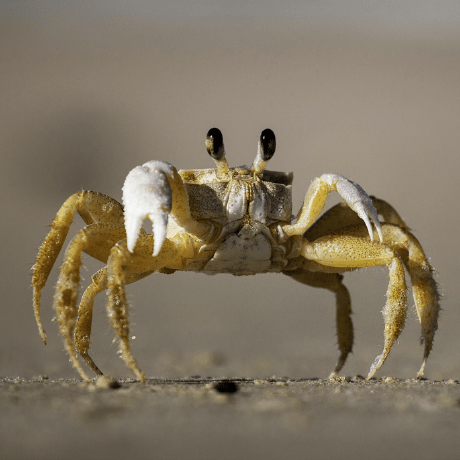 Ice Zlc Github - Premium Landscape Art - 8K