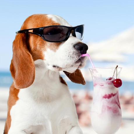 Dillon0130 Dillon Github - Premium Dark Pattern Gallery - Retina