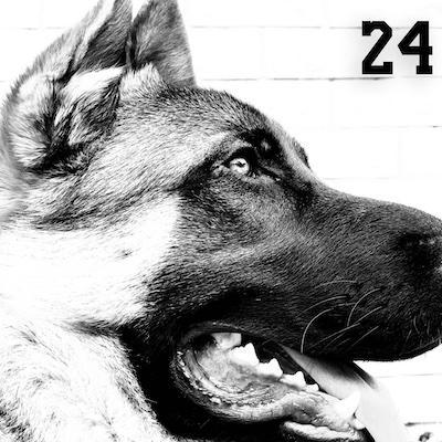 Tian Ruo Jin Github - Full HD Light Patterns for Desktop