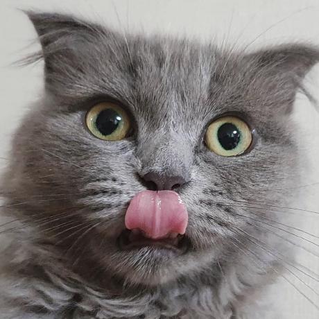 Jin Zerosketch Github - City Images - High Quality Full HD Collection