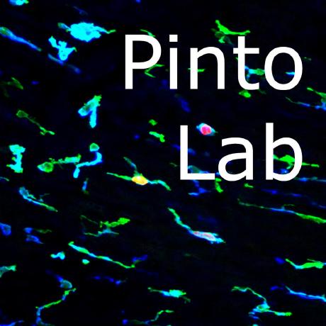 Pinto Lab Northwestern Github - Download Professional Colorful Image | High Resolution