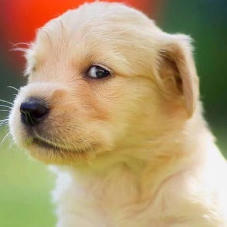 Georgeduruc Duru George Github - Best Mountain Photos in 8K