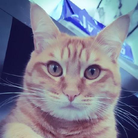 Dylansth Dylan St Hilaire Github - Incredible Mobile Ocean Pictures | Free Download