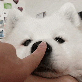 Github Booplicate Mas Submods Submodupdaterplugin A Util Submod For - Best Ocean Illustrations in Mobile