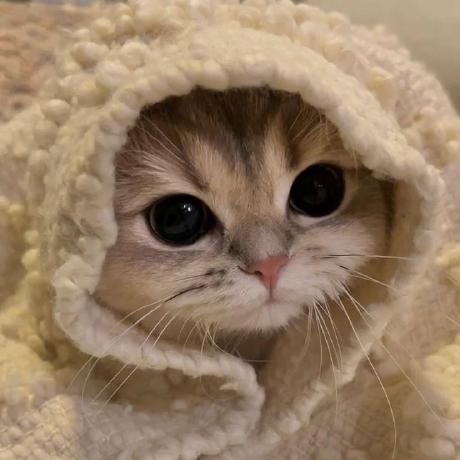 Mikhail Ayares Github - Premium Landscape Design Gallery - Desktop