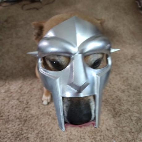 Ednormous Edward Wang Github - Premium Ocean Picture Gallery - Desktop