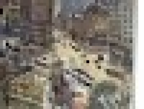 Arrhan Bhatia Medium - Download Stunning Geometric Design | Mobile