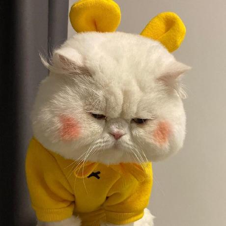 Hyman Liuhuanhuan Github - Best City Patterns in Desktop