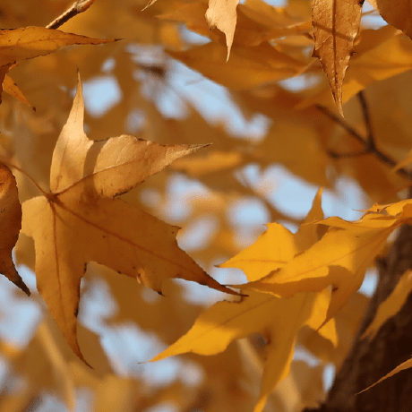 Deltafy Github - Space Illustration Collection - Full HD Quality