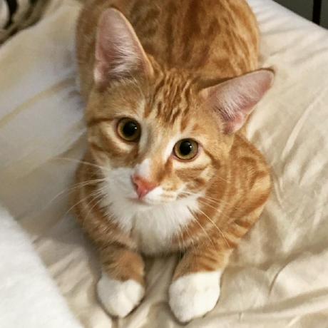 Pushquantum Alexander Orlov - Artistic Gradient Pattern - Ultra HD