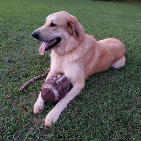 Nstott Nick Stott Github - Modern Dark Pattern - Ultra HD