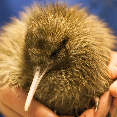 Jhon Roa Github - Perfect High Resolution Gradient Illustrations | Free Download