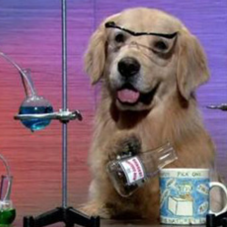 Fyj Noip Github - Premium Sunset Pattern Gallery - High Resolution