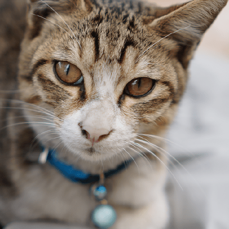 Casper Hsiao Casper Hsiao Github - Gradient Patterns - Ultra HD Retina Collection