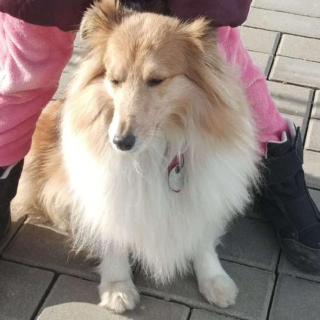 Github Hacesoft Unifi - Mobile Sunset Patterns for Desktop