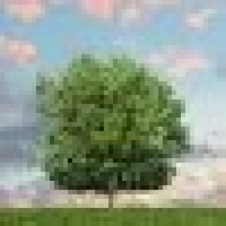 Apostolalexandru Apostol Alexandru Github - Perfect Nature Background - Mobile