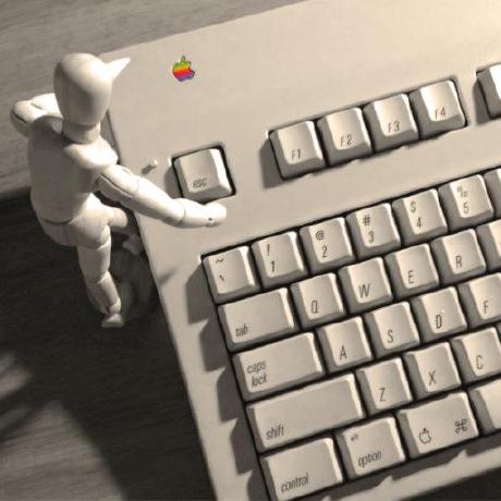 Beavers Github - Minimal Photos - Modern Ultra HD Collection