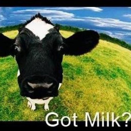 GitHub - Dreadlocked/Drupalgeddon2: Exploit For Drupal V7.x + V8.x ...