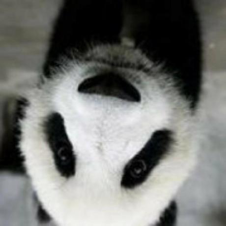 Dqqme Tang Zhiming Github - 4K Nature Wallpapers for Desktop