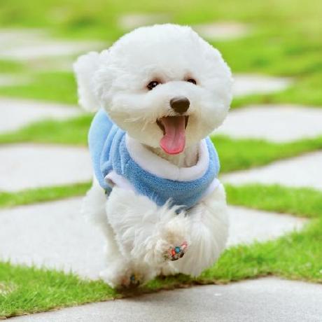 Happydog Github - Desktop Geometric Designs for Desktop