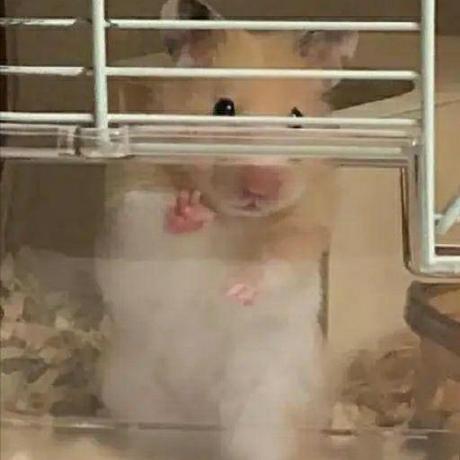 2018211801 Orange Chen Github - Premium Sunset Texture Gallery - Full HD