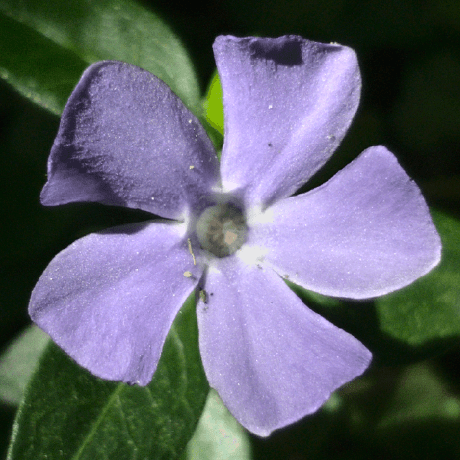 Github Void Linux Void Packages The Void Source Packages Collection - Best Abstract Designs in Retina