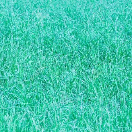 Levpoptcov Lev Poptcov Github - Download Ultra HD Dark Background | HD