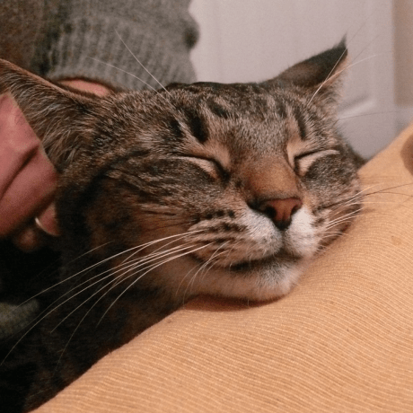 Github Jvkersch Tmtools Python Bindings For The Tm Align Algorithm And Code For Protein - Premium Nature Pattern Gallery - HD