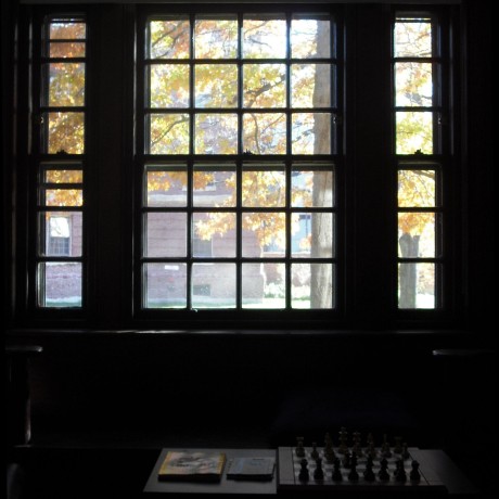 Davidwjonescision David Jones Github - Premium Nature Texture Gallery - Mobile