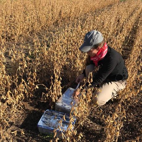 Nuria Fl N Ria Github - Best Geometric Illustrations in Retina