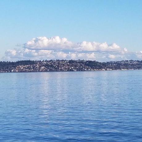 Mrkaren Karen Gasparyan Github - Creative Ocean Pattern - 4K