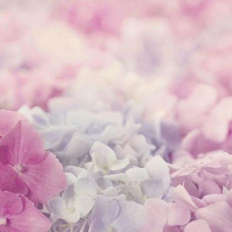 Github Ruohan Yang Iscor Lp - Premium Sunset Picture - Desktop