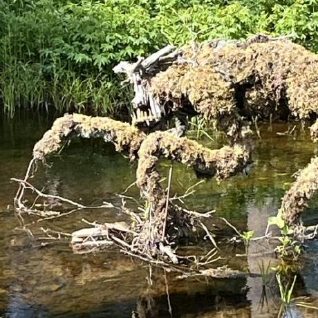 Hur Atte Niemi Github - Best Mountain Illustrations in Mobile