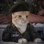 Zmanix Manaia Roserens Github - Beautiful Desktop Dark Illustrations | Free Download