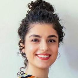 Negingilani Negin Gilani Github - Best Mountain Patterns in HD