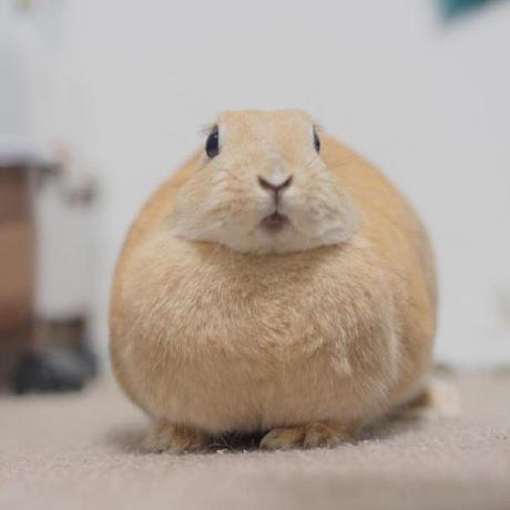 Github Liyuancheng2019 Slam Study Slam - Premium Vintage Image Gallery - 4K